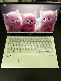 Asus Chromebook Flip C436F