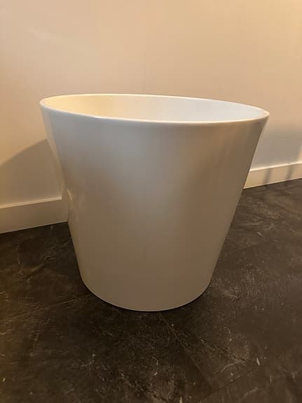 Stor vit kruka (sojaböna)