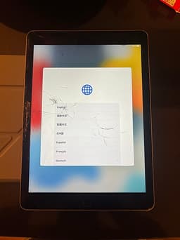 Apple iPad Air 2 - Wifi 16 GB