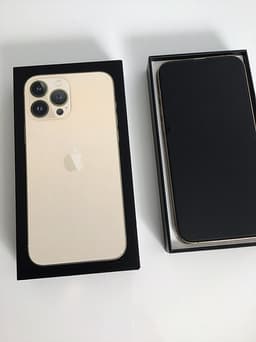 iPhone 13 Pro Max 256 GB