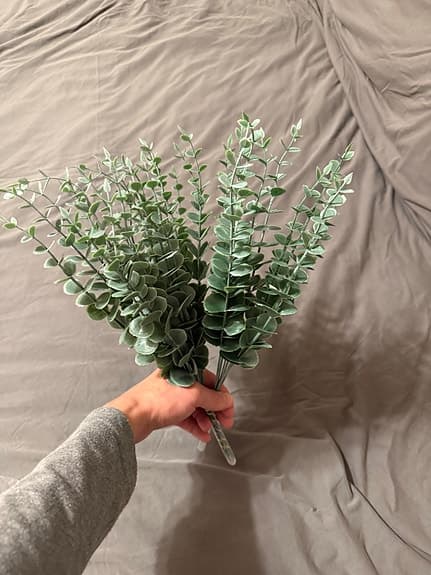 Dekorativa eucalyptus plastväxter