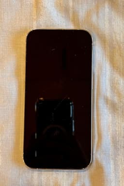 Apple iPhone 13 Pro 256 GB