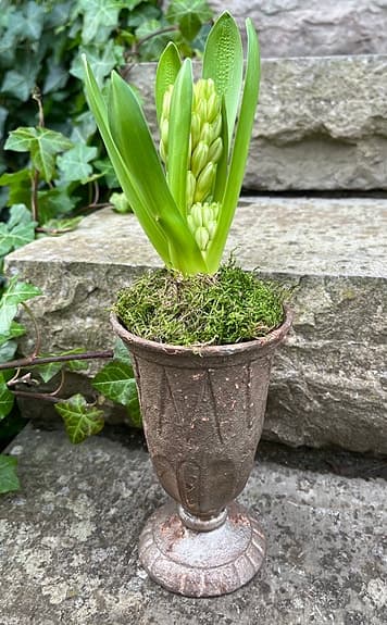 Järn Kruka / Urna - mindre på fot. Jättefin! Nyskick.