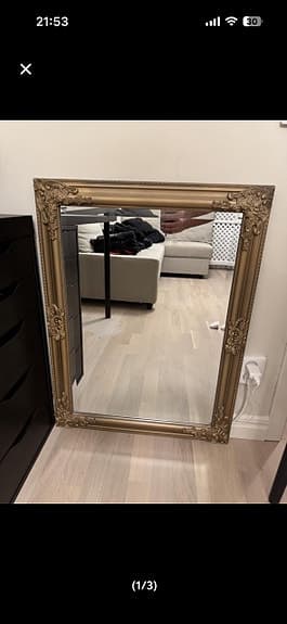 Bologna guld Spegel 50x70 cm