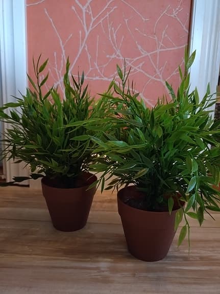 Konstgjorda bambu i kruka, två stycken