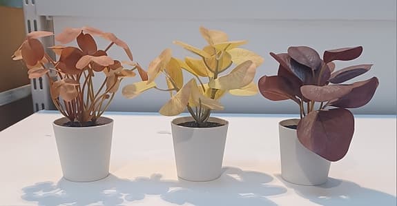 9 stycken blommor 50 kr