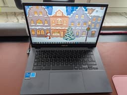 Asus Chromebook PLUS  laptop