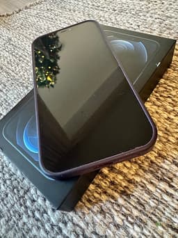 Apple iPhone 12 Pro Max 256 GB