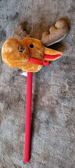 KäppRen (käpphäst)