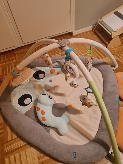 Babygym playgro