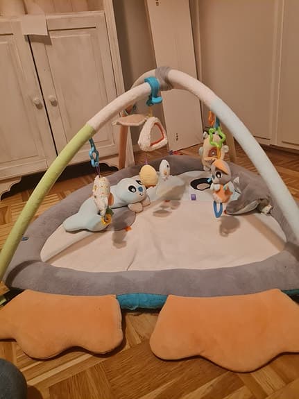 Babygym playgro
