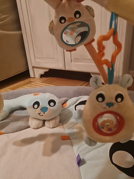 Babygym playgro
