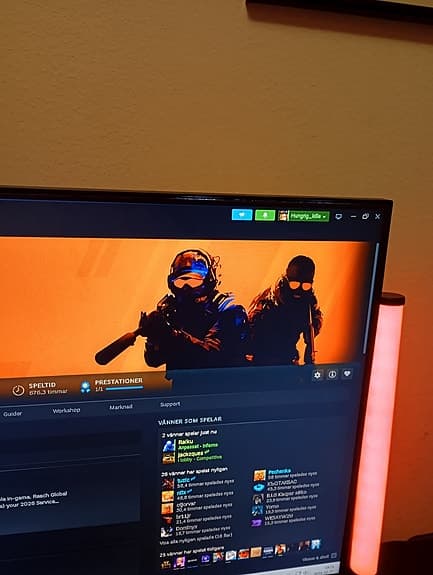 Gaming skärm