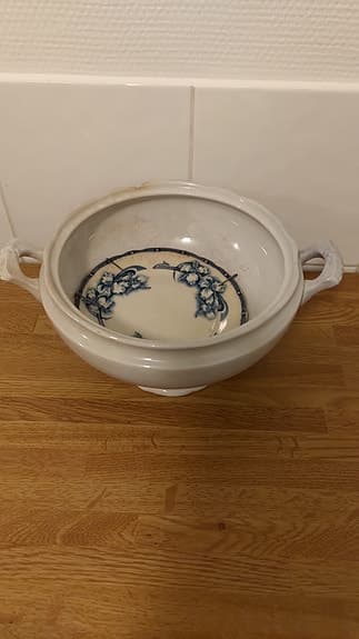 Välvårdad skål
