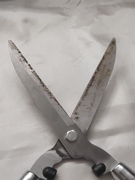 Häcksax Kent & Stowe – klassisk modell, 56 cm