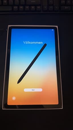 Samsung Galaxy Tab S6 lite 64 GB (2024)