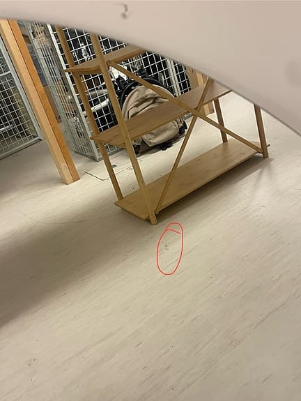 Tunn väggspegel 70x100
