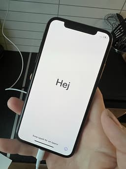 Apple iPhone Xs 256 GB