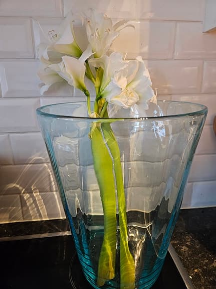 Fantastisk vas i glas i nyskick