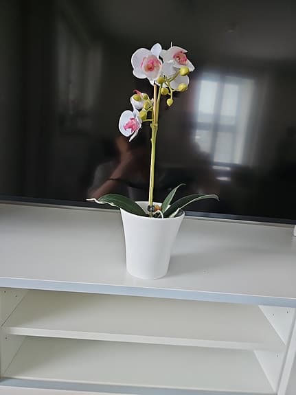 Plastblomma orkidéer