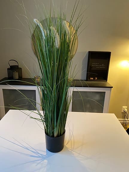 Konstväxt Gräs i svart kruka