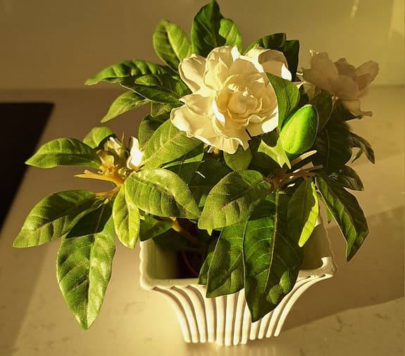 Konstblommor och krukor