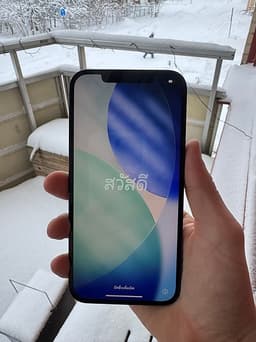 Apple iPhone 12 Pro Max 256 GB