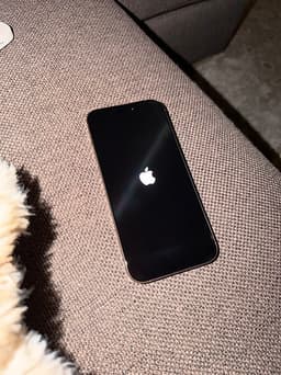 Apple iPhone 16 Pro Max 256 GB