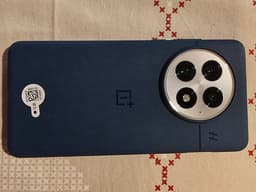 OnePlus 13 (PJZ 110)