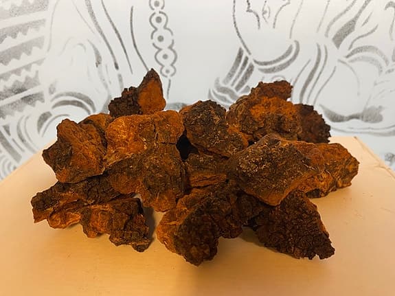 1kg vinterplockad & torkad chaga/sprängticka
