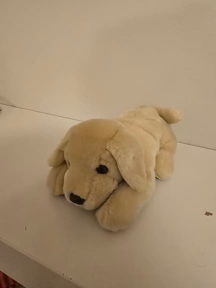 Mjukisdjur set med krokodil, hund, kanin, giraff och nallebjörn