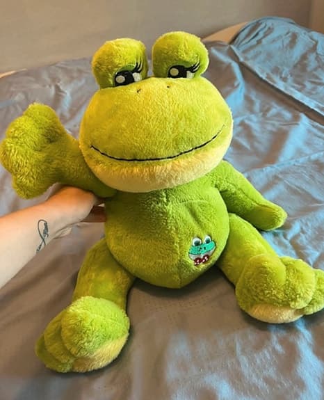 Grön mjukisdjursgroda med broderad detalj