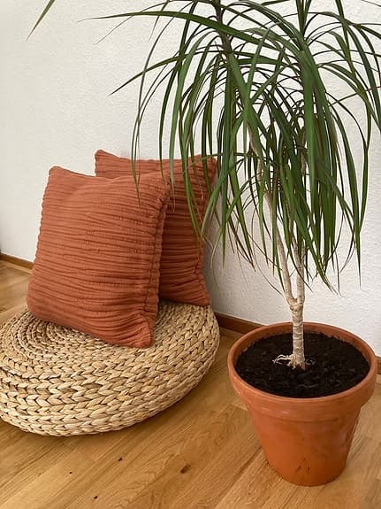 Nytt kuddfodral terrakotta vågig randig textur 100% bomull (flera finns)