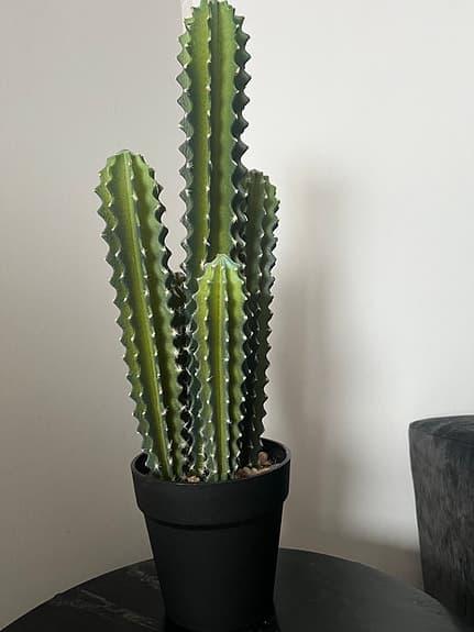 Konstgjorda kaktus  växt ca 53cm