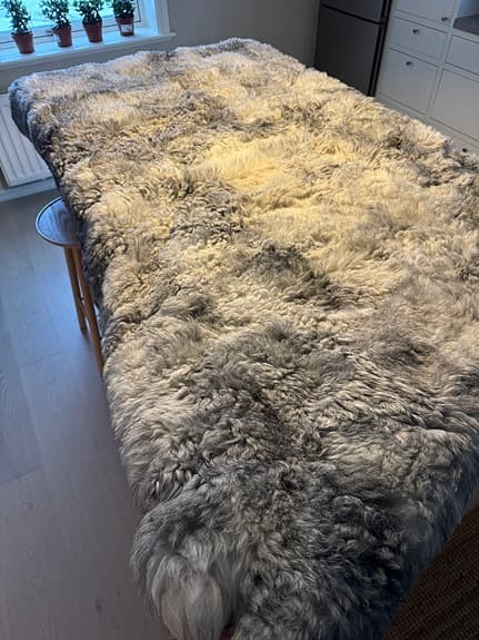 Fårskinnsmatta/fäll/väggbonad