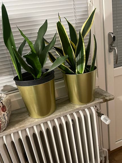 2 st Krukor - guldfärgade