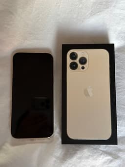 iPhone 13 Pro Max 128 GB Guld – Kartong & laddkabel