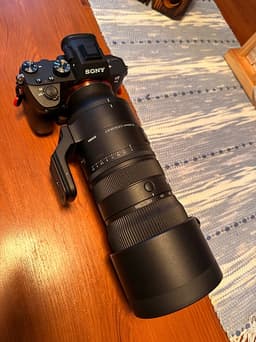 Sony A7III + Sigma 70-200 f/2.8 DG DN Sport