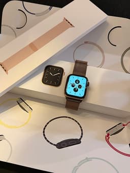 Apple Watch 5 Gold Stainless, 44mm