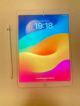 iPad Pro 10.5" (2017) + Apple Pencil