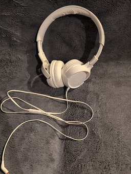 JBL Tune 500 Bass hörlurar