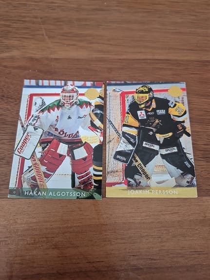 262-1/ 13 st Hockeybilder Målvakter