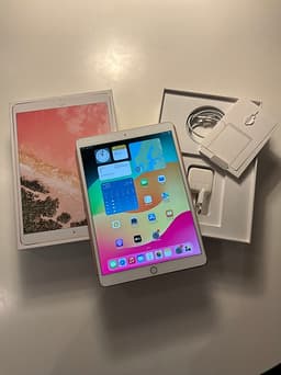 Apple iPad Pro 256 GB rosa Rose Gold cellular