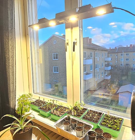 Professionell Växtbelysning.