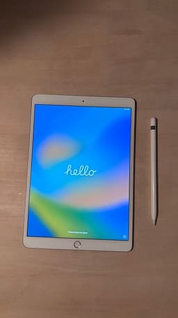 Apple iPad surfplatta 64 GB silver