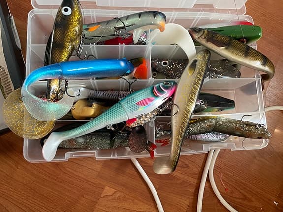 Prorex beteslåda med blandade fiskedrag