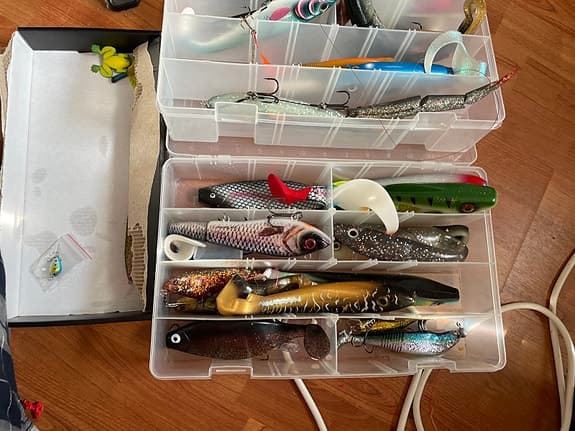 Prorex beteslåda med blandade fiskedrag