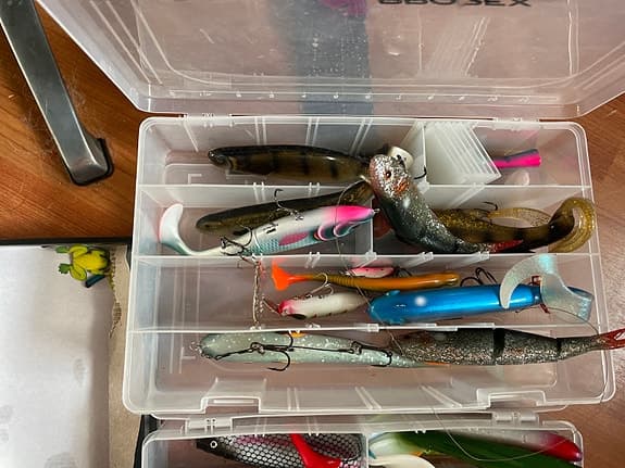 Prorex beteslåda med blandade fiskedrag