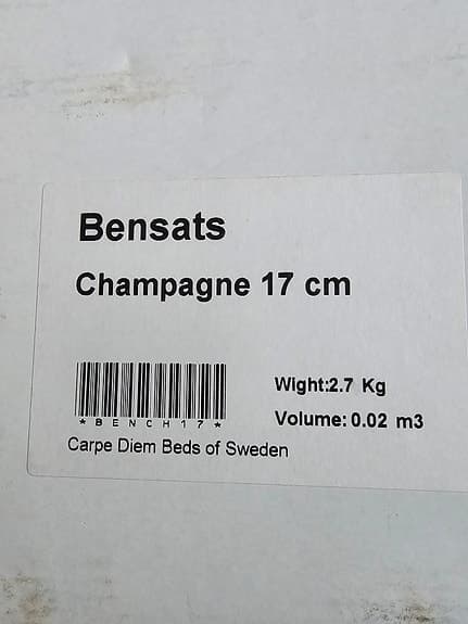 Carpe Diem ben Champagne