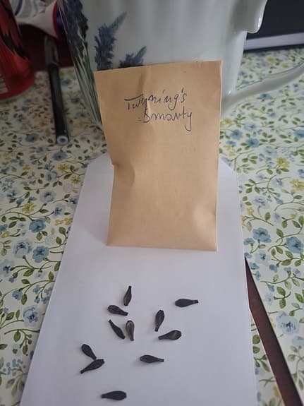 Dahlia Twyning’s Smarty 10 frön